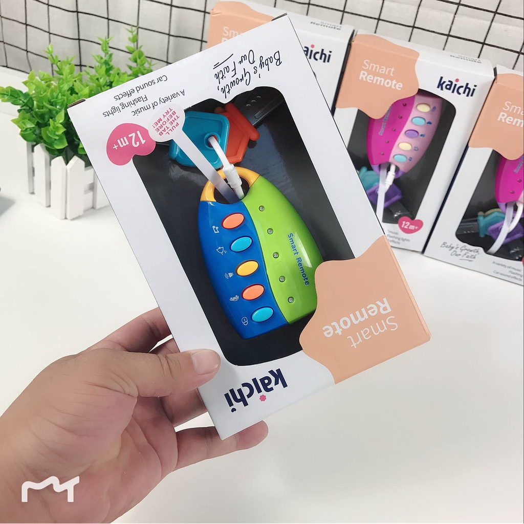 Juguete Control Remoto Musical