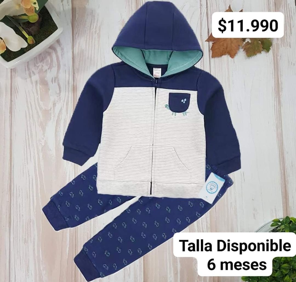 Conjunto Buzo 2 piezas Tortuga